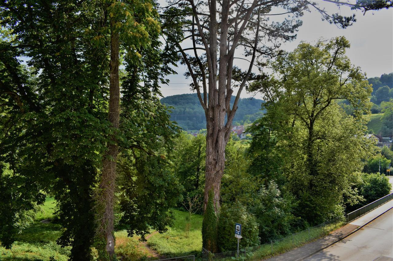 Bad Bruckhaus Erlebnishotel Waldshut-Tiengen Bagian luar foto